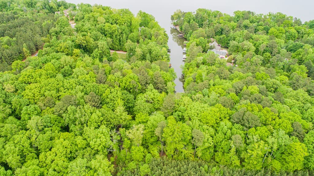 Lot 56 Harbor Drive, Macon NC 27551 photo 11