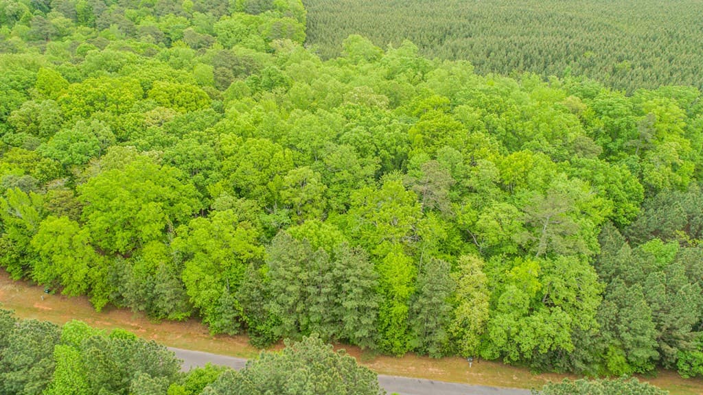 Lot 56 Harbor Drive, Macon NC 27551 photo 4