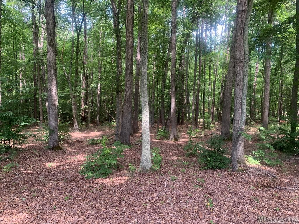 148 Sail View Lane, Macon NC 27551 photo 3
