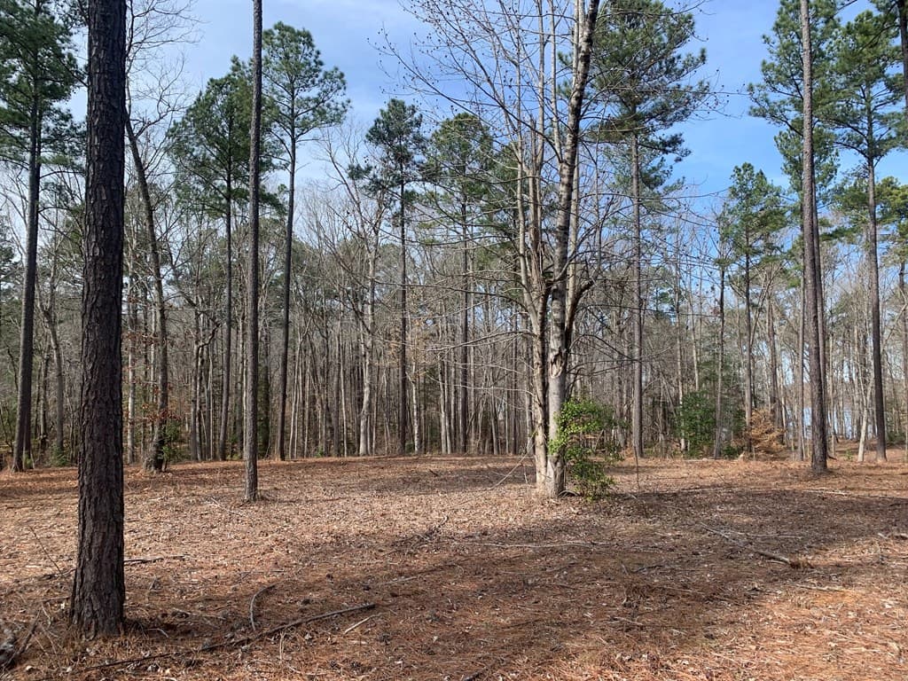 148 Sail View Lane, Macon NC 27551 photo 4