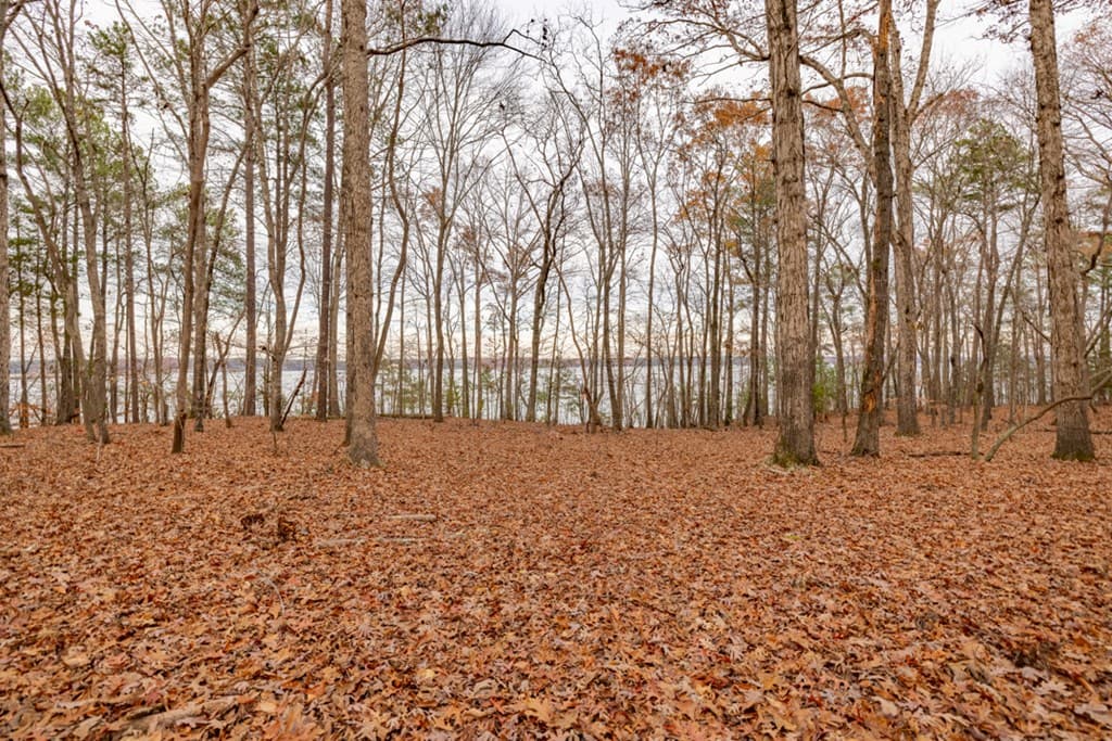 19 Serenity Point, Littleton NC 27850 photo 30