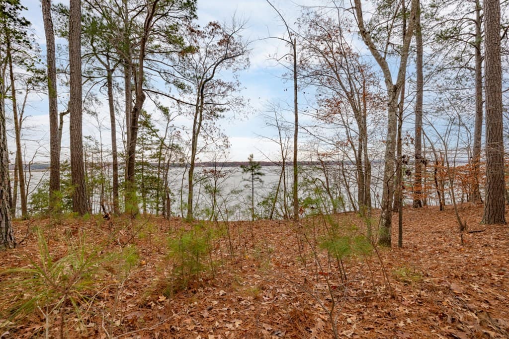 19 Serenity Point, Littleton NC 27850 photo 33