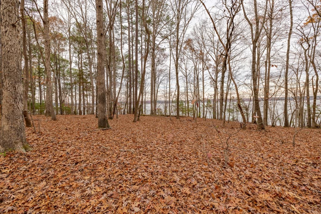 19 Serenity Point, Littleton NC 27850 photo 31