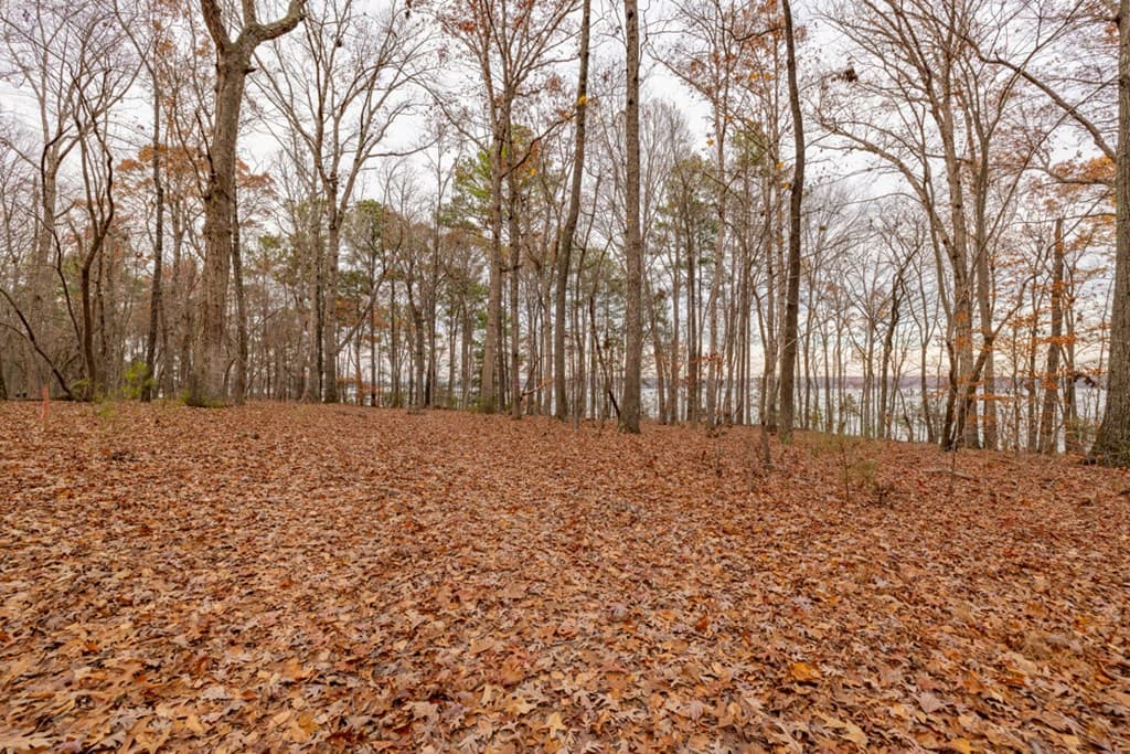 19 Serenity Point, Littleton NC 27850 photo 29