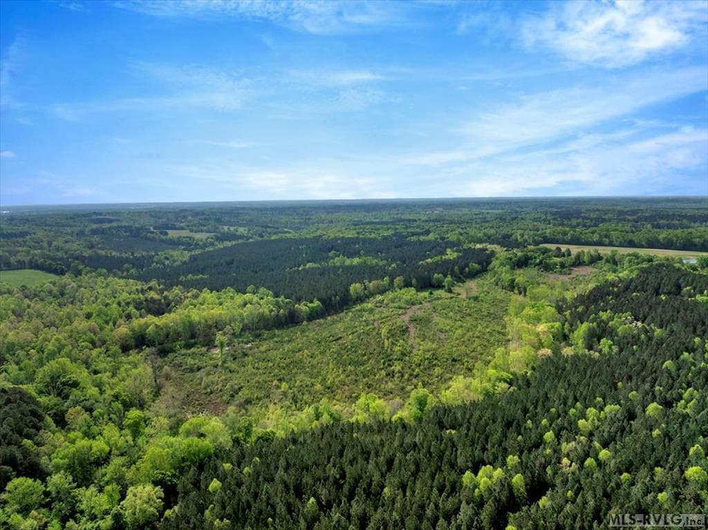 Acreage,Unimproved Land at 0 Keeton Rd., Bullock NC 27507, Bullock, photo 22 of 28