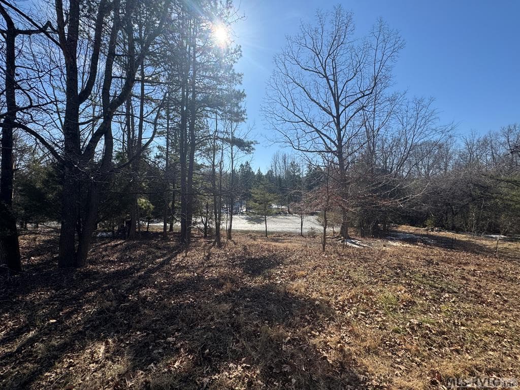 Acreage,Unimproved Land at 0 Keeton Rd., Bullock NC 27507, Bullock, photo 3 of 28