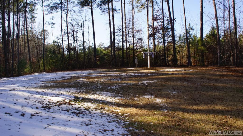 Rear yard