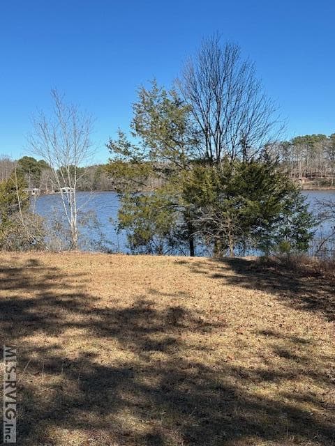 Residential Lot-Restricted,Unimproved Land at 000 Moss Point, Gasburg VA 23857, Gasburg, photo 2 of 12