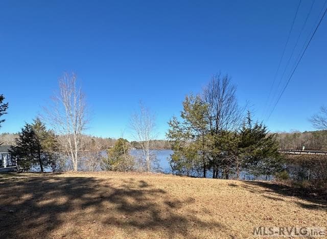 Residential Lot-Restricted,Unimproved Land at 000 Moss Point, Gasburg VA 23857, Gasburg, photo 3 of 12