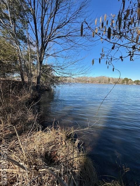 Residential Lot-Restricted,Unimproved Land at 000 Moss Point, Gasburg VA 23857, Gasburg, photo 9 of 12