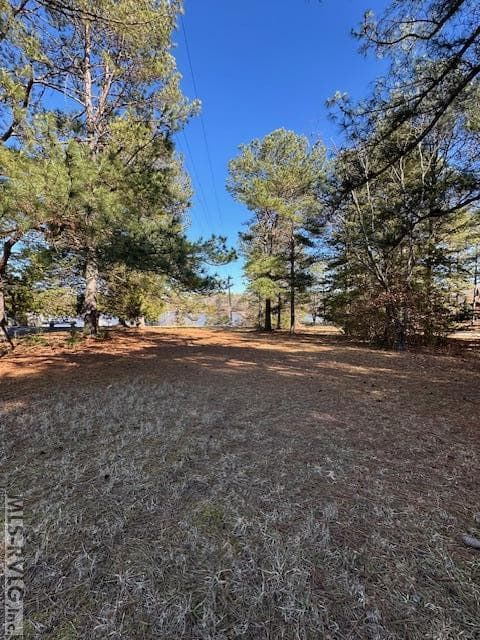 Residential Lot-Restricted,Unimproved Land at 000 Moss Point, Gasburg VA 23857, Gasburg, photo 11 of 12