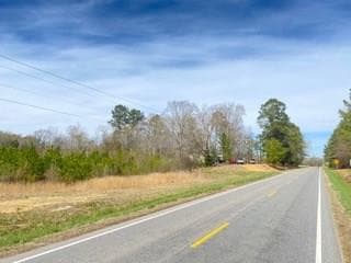 Lot# 8 Christanna Hwy, Lawrenceville VA 23868
