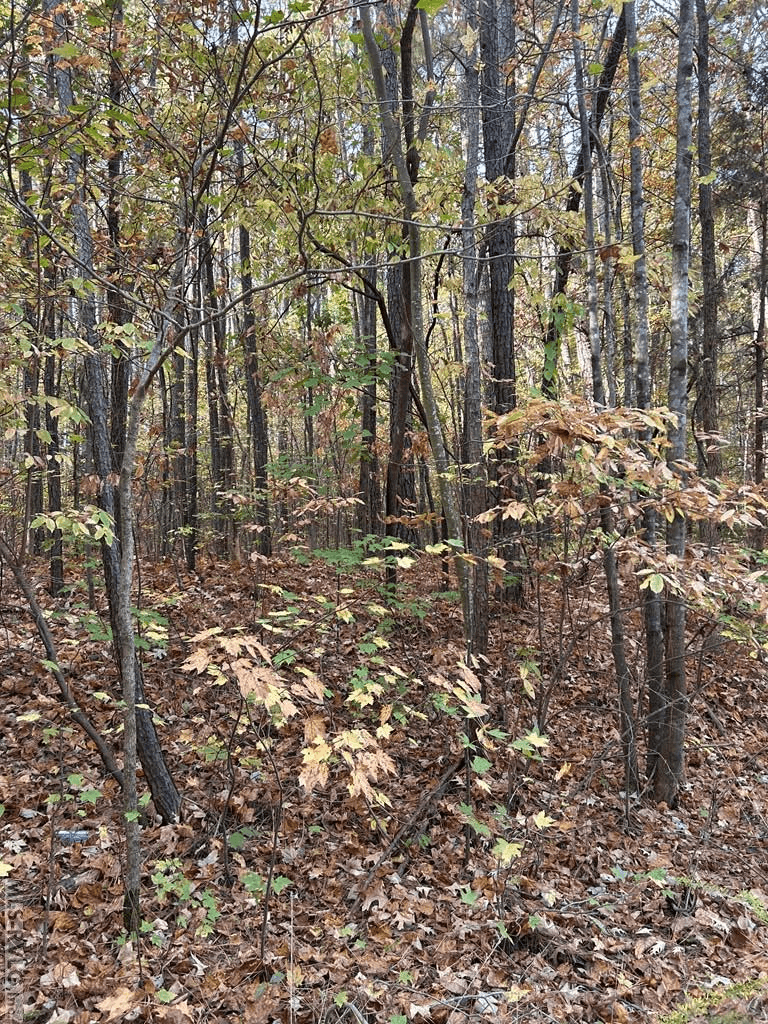 Lot 12 Greenvalley Drive, Littleton NC 27850 photo 3