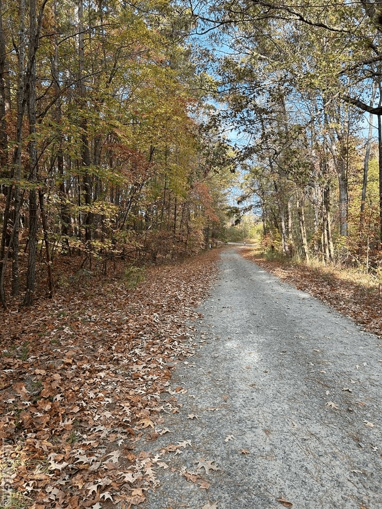 Lot 12 Greenvalley Drive, Littleton NC 27850 photo 5