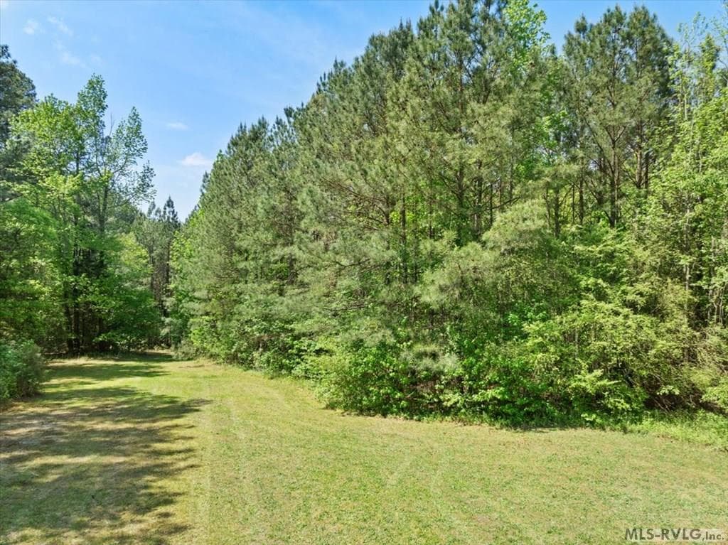 1448 Nc Highway 125, Roanoke Rapids NC 27870 photo 12