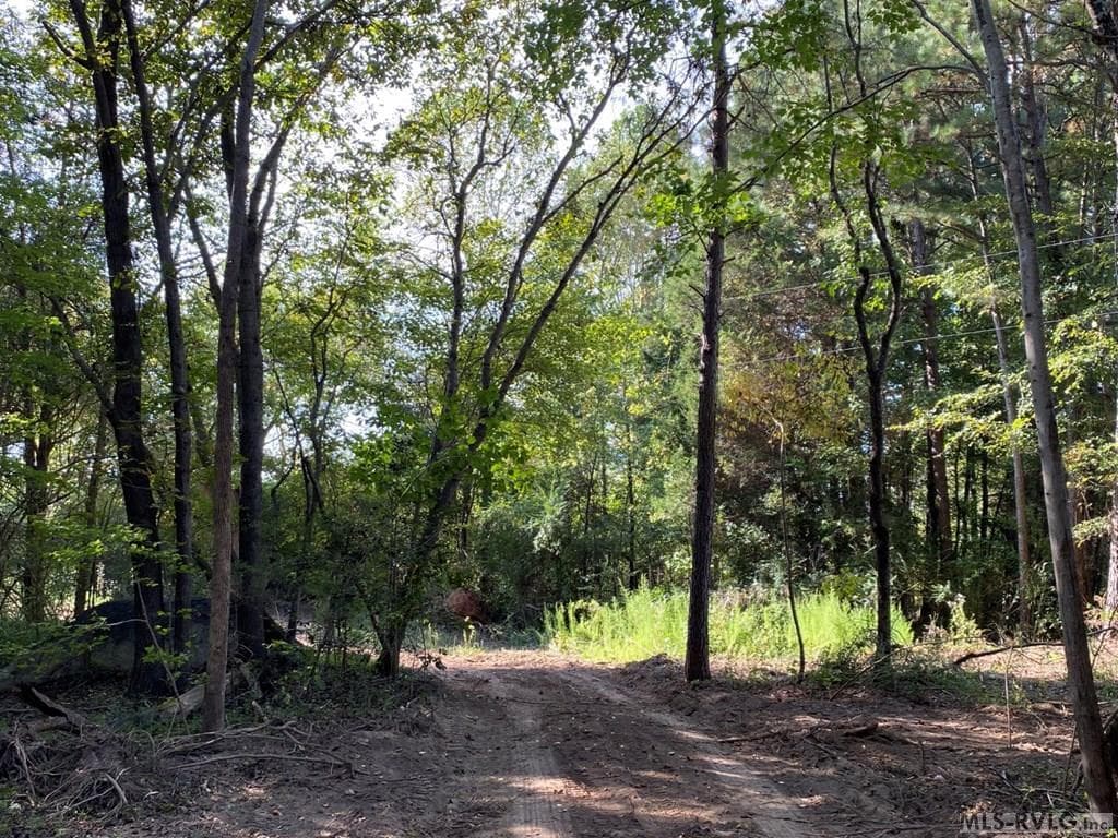 Acreage,Residential Lot-Restricted,Unimproved Land at Lot# 5 Christanna Hwy, Lawrenceville VA 23868, Lawrenceville, photo 17 of 21