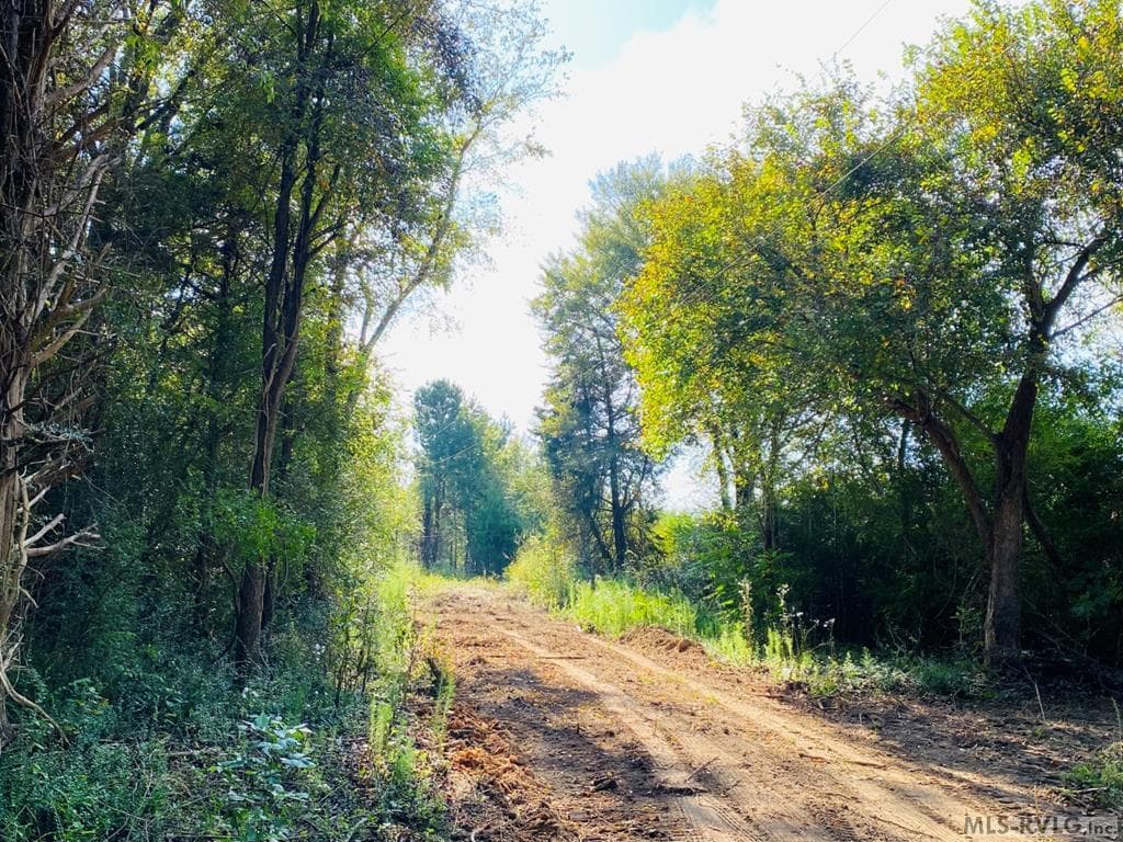 Acreage,Residential Lot-Restricted,Unimproved Land at Lot# 5 Christanna Hwy, Lawrenceville VA 23868, Lawrenceville, photo 12 of 21