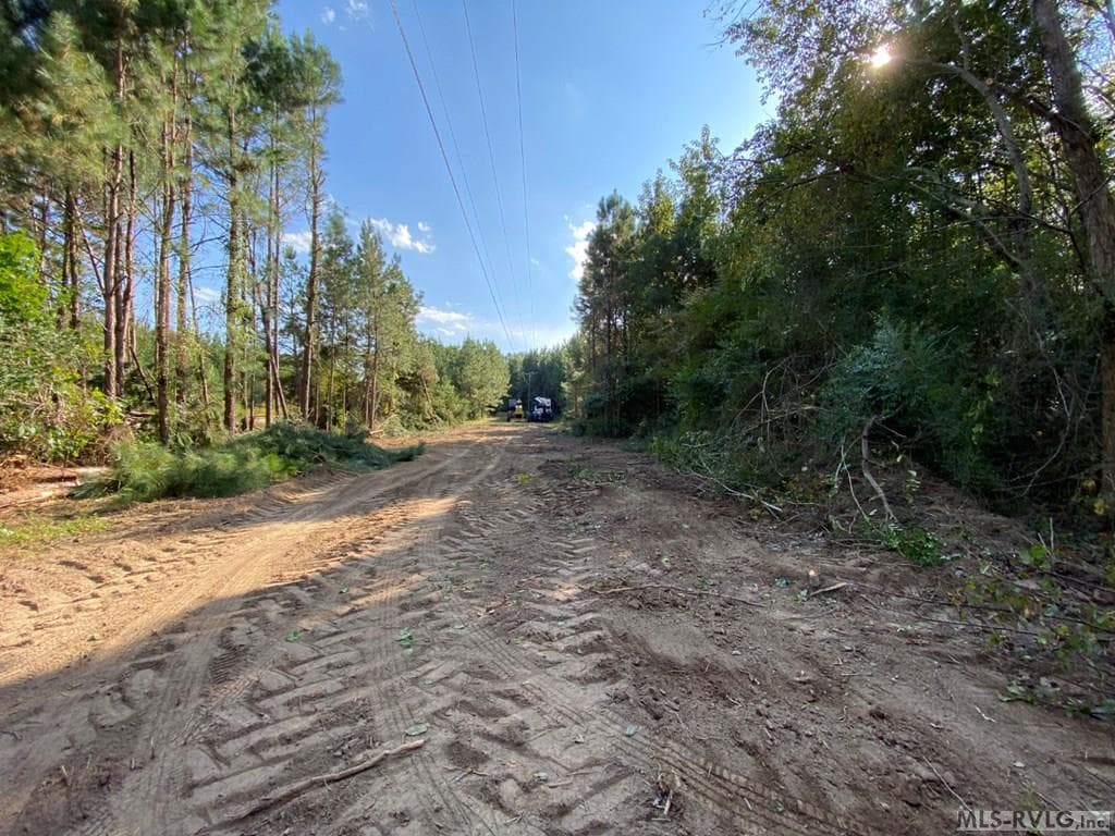 Acreage,Residential Lot-Restricted,Unimproved Land at Lot# 5 Christanna Hwy, Lawrenceville VA 23868, Lawrenceville, photo 7 of 21