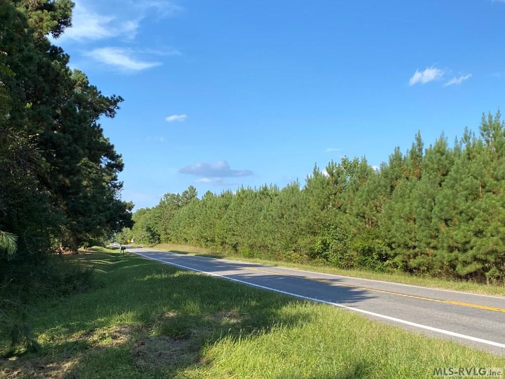 Acreage,Residential Lot-Restricted,Unimproved Land at Lot# 5 Christanna Hwy, Lawrenceville VA 23868, Lawrenceville, photo 3 of 21
