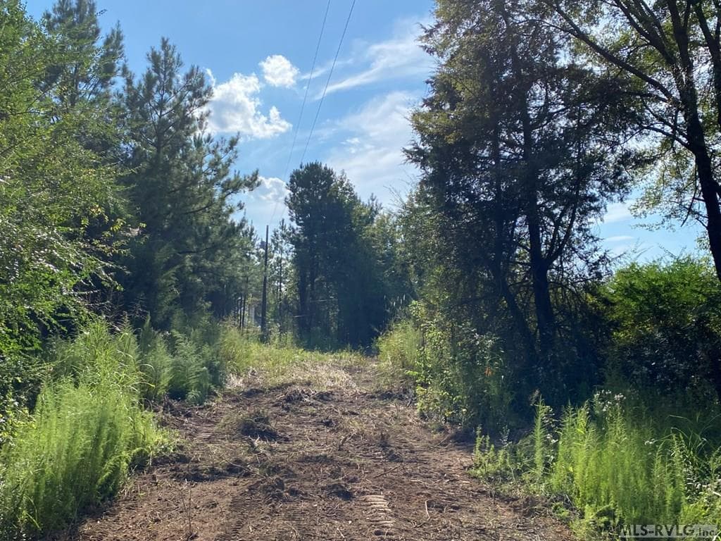 Acreage,Residential Lot-Restricted,Unimproved Land at Lot# 5 Christanna Hwy, Lawrenceville VA 23868, Lawrenceville, photo 5 of 21