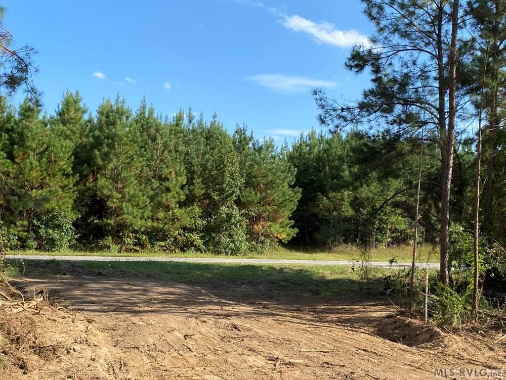 Acreage,Residential Lot-Restricted,Unimproved Land at Lot# 5 Christanna Hwy, Lawrenceville VA 23868, Lawrenceville, photo 9 of 21