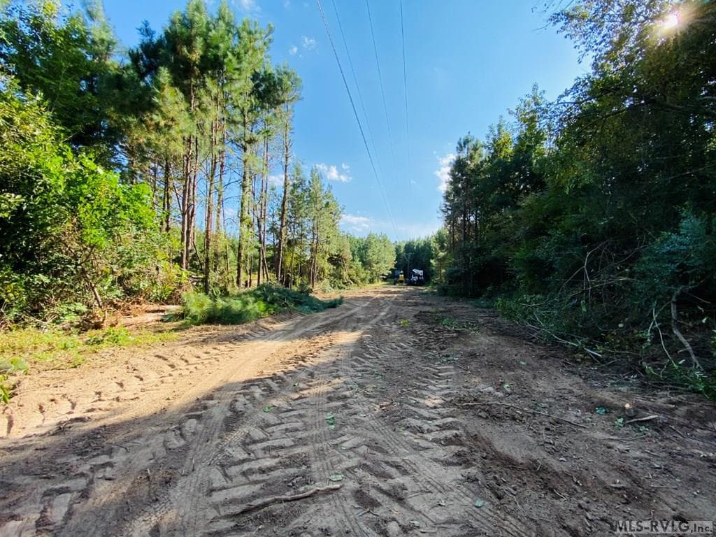 Acreage,Residential Lot-Restricted,Unimproved Land at Lot# 5 Christanna Hwy, Lawrenceville VA 23868, Lawrenceville, photo 14 of 21