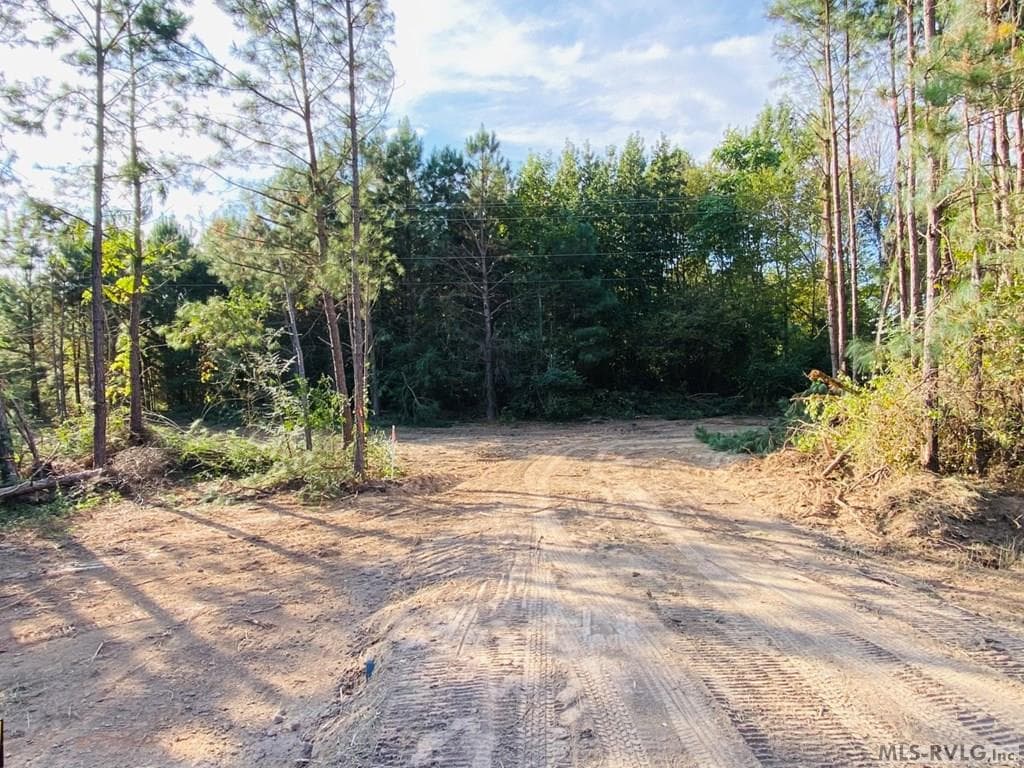 Acreage,Residential Lot-Restricted,Unimproved Land at Lot# 5 Christanna Hwy, Lawrenceville VA 23868, Lawrenceville, photo 18 of 21