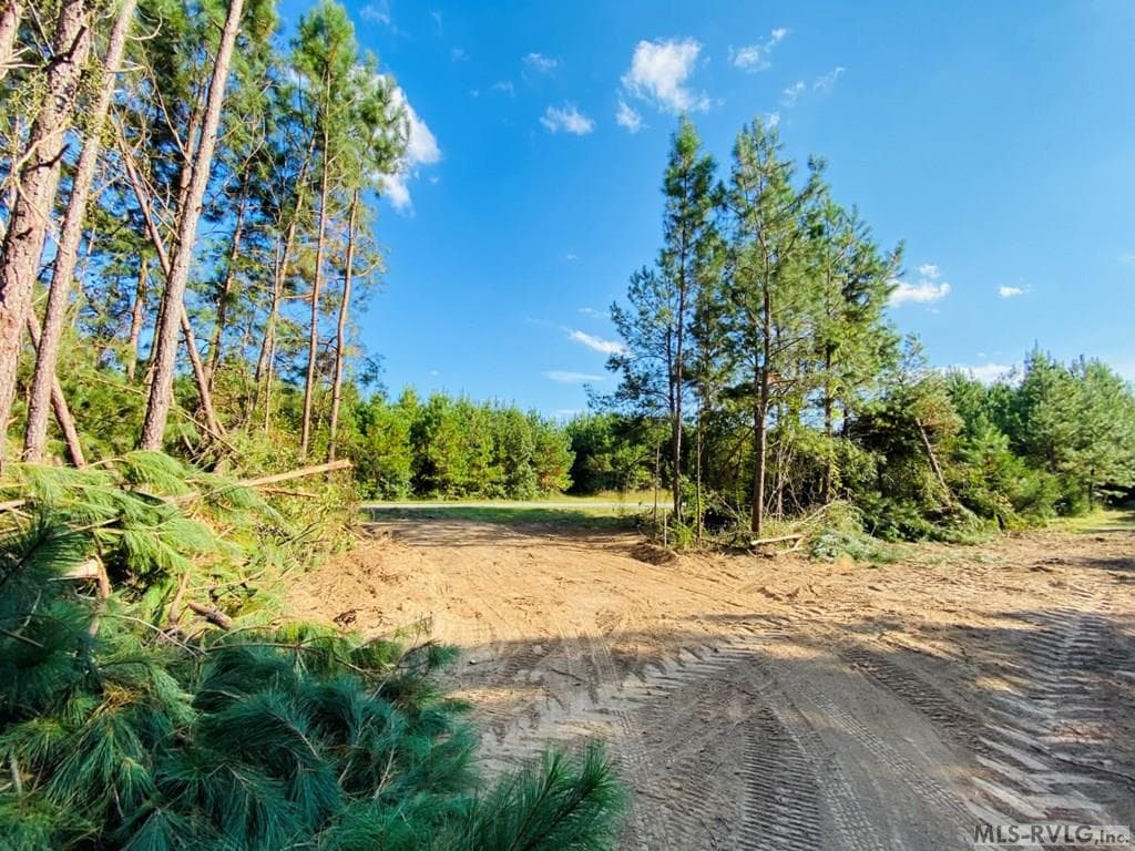 Acreage,Residential Lot-Restricted,Unimproved Land at Lot# 5 Christanna Hwy, Lawrenceville VA 23868, Lawrenceville, photo 15 of 21