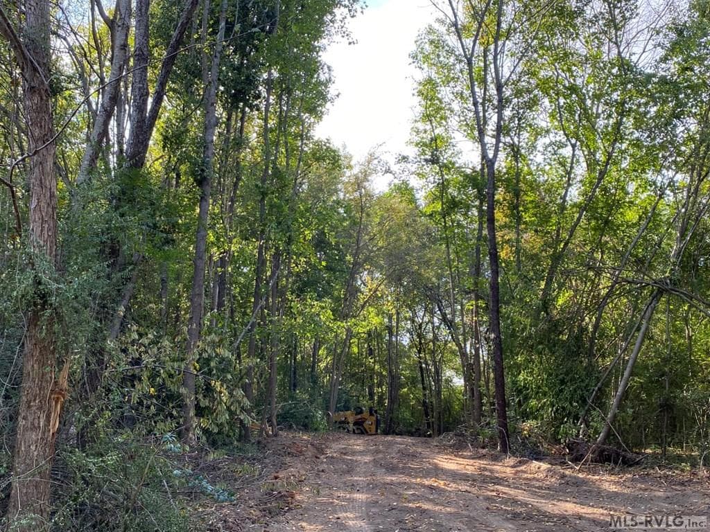 Acreage,Residential Lot-Restricted,Unimproved Land at Lot# 5 Christanna Hwy, Lawrenceville VA 23868, Lawrenceville, photo 21 of 21