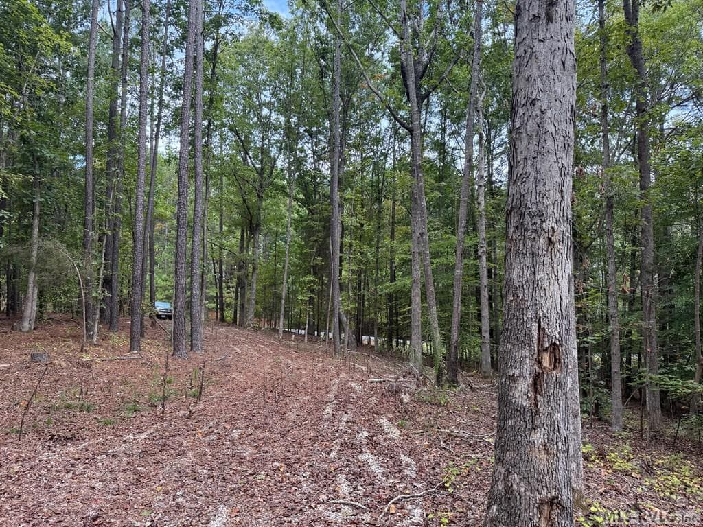 29 Waterside Drive, Henrico NC 27842 photo 4