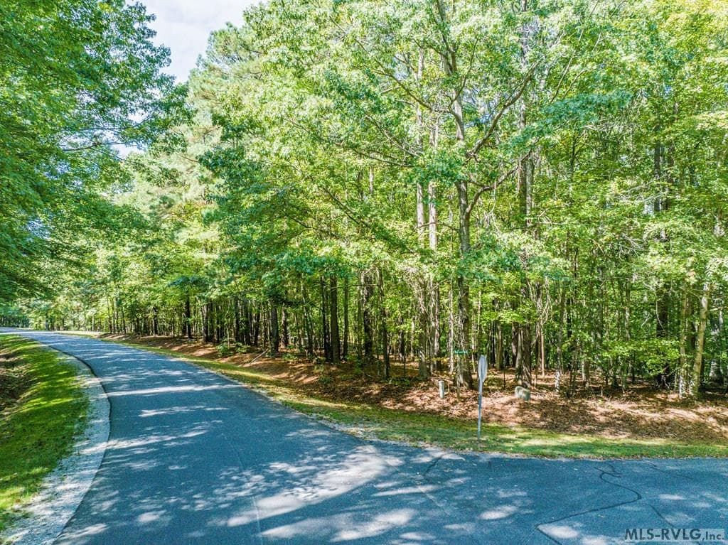 TBD Buck Springs West, Littleton NC 27850 photo 6