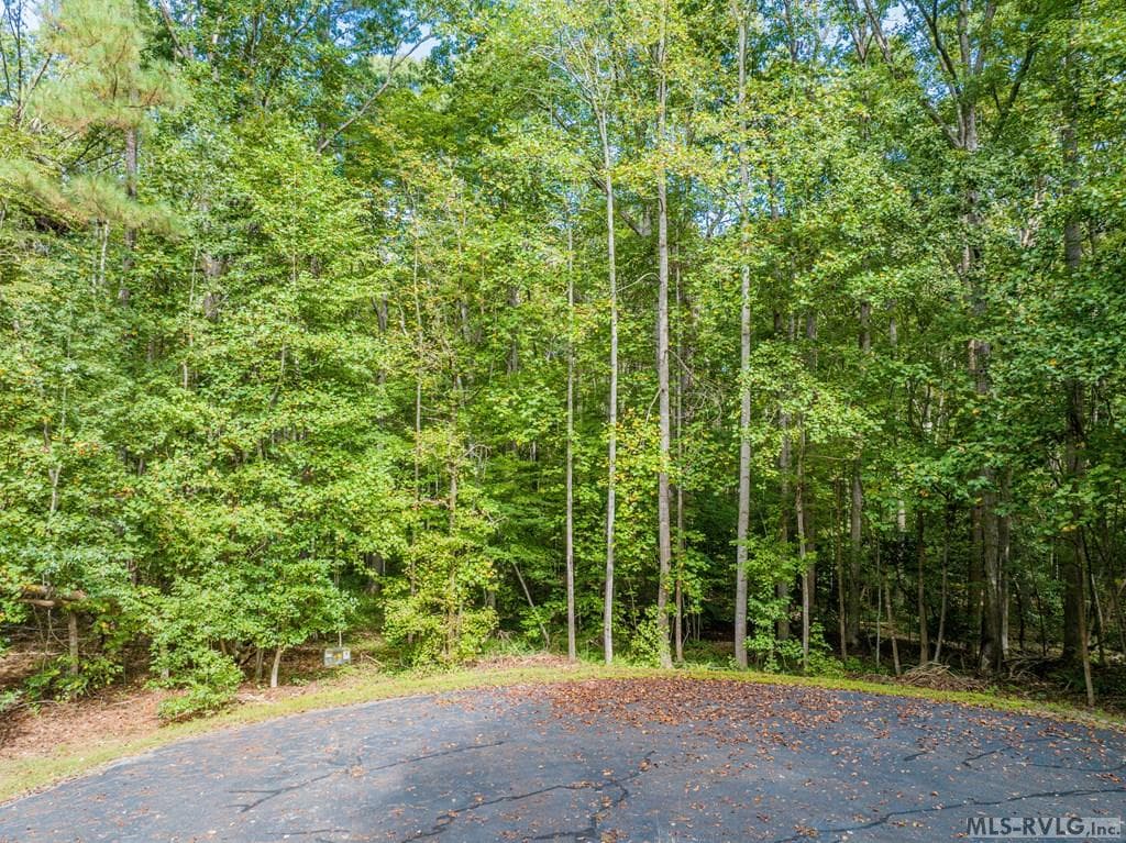 TBD Buck Springs West, Littleton NC 27850 photo 3