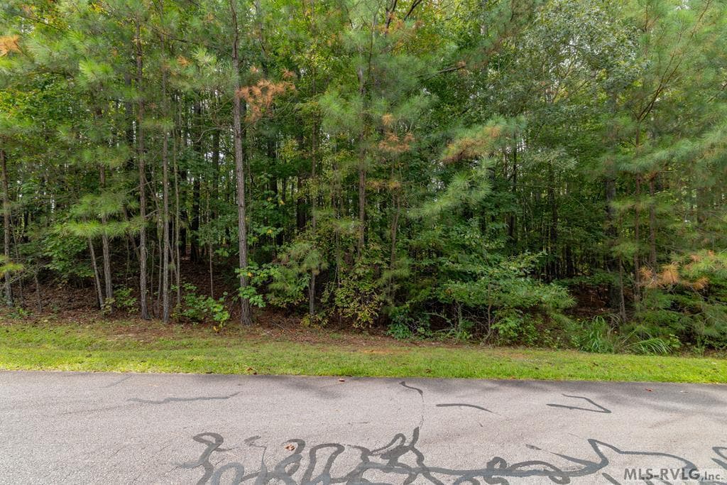 Lot 19 Waterside Drive, Henrico NC 27842 photo 2