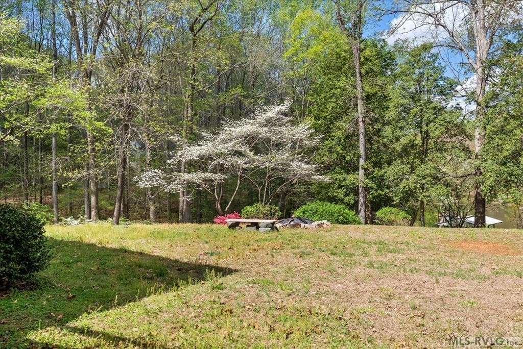 796 Tanglewood Drive, Bracey VA 23919 photo 53