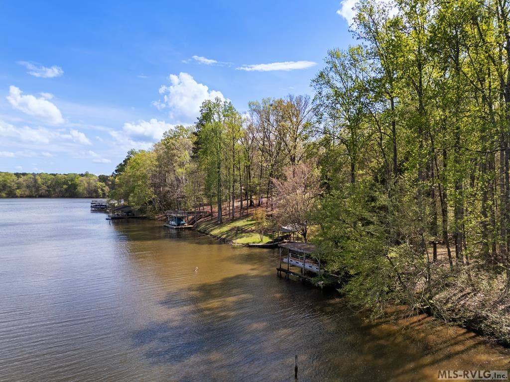 796 Tanglewood Drive, Bracey VA 23919 photo 81