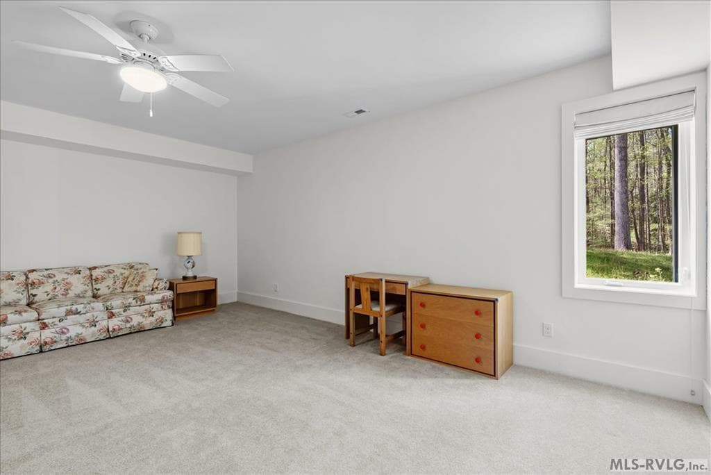 796 Tanglewood Drive, Bracey VA 23919 photo 71
