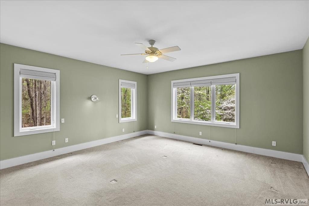 796 Tanglewood Drive, Bracey VA 23919 photo 34