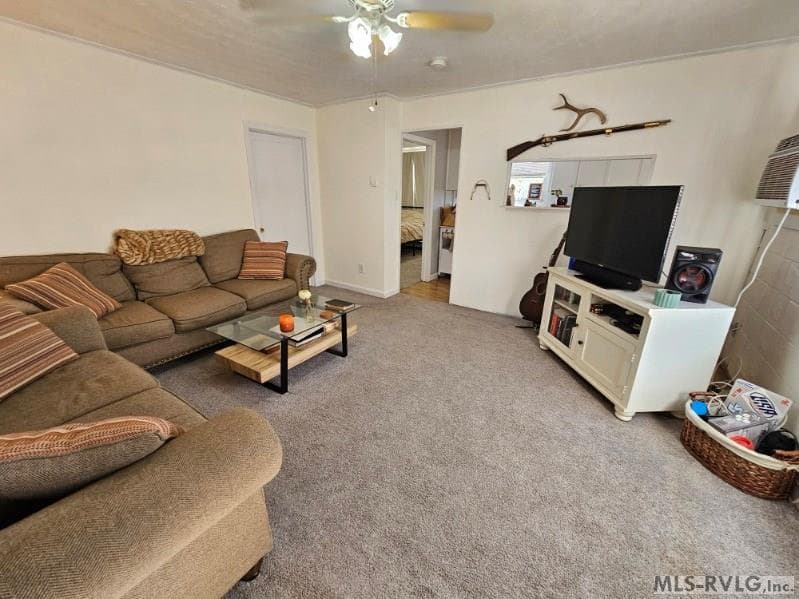 2077, 91 W 10th St, Roanoke Rapids NC 27870 photo 6