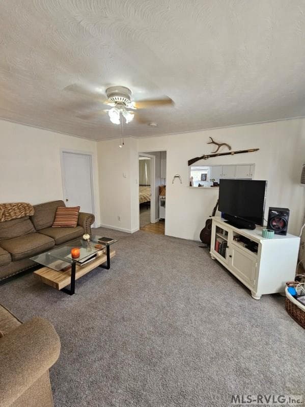 2077, 91 W 10th St, Roanoke Rapids NC 27870 photo 5
