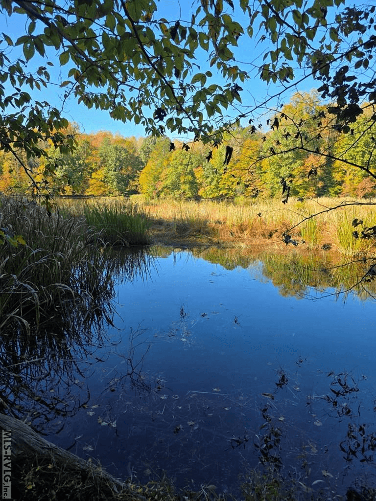 Residential Lot-Restricted,Unimproved Land at Lot 12 Canoe Creek, Gaston NC 27832, Gaston, photo 6 of 8