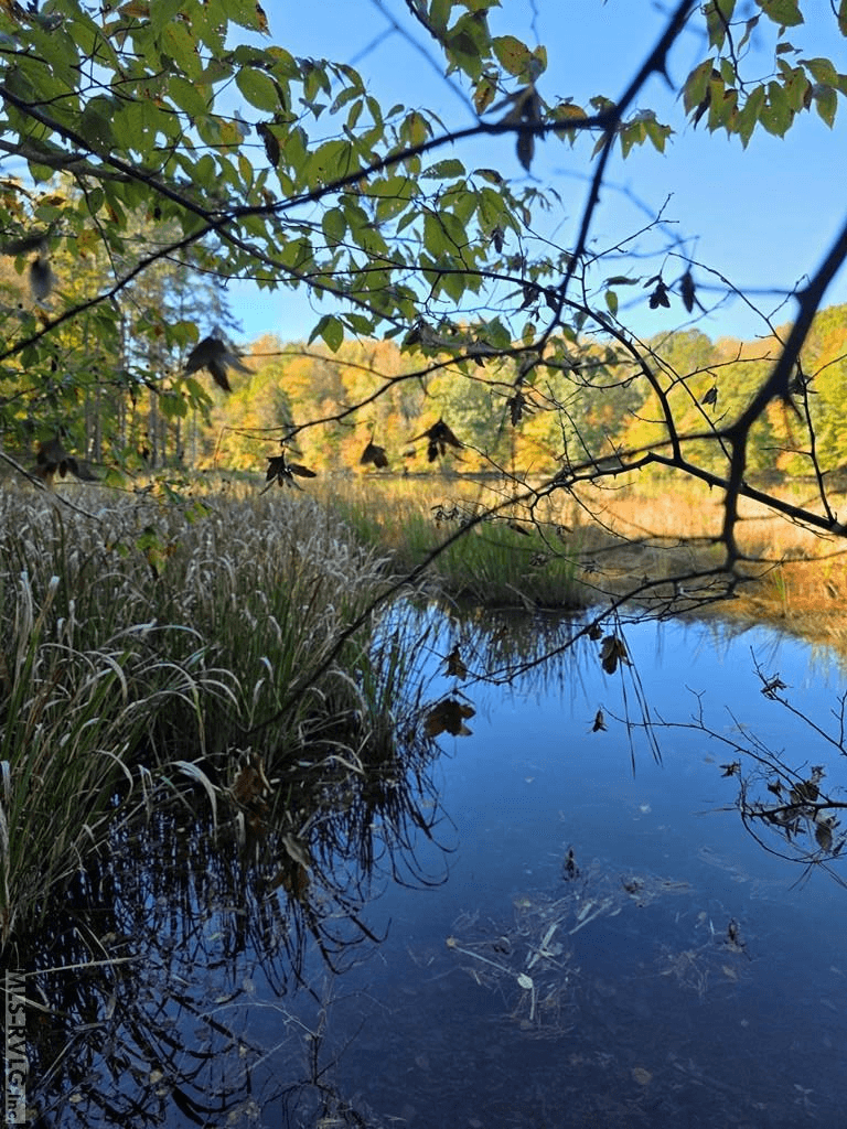 Residential Lot-Restricted,Unimproved Land at Lot 12 Canoe Creek, Gaston NC 27832, Gaston, photo 5 of 8