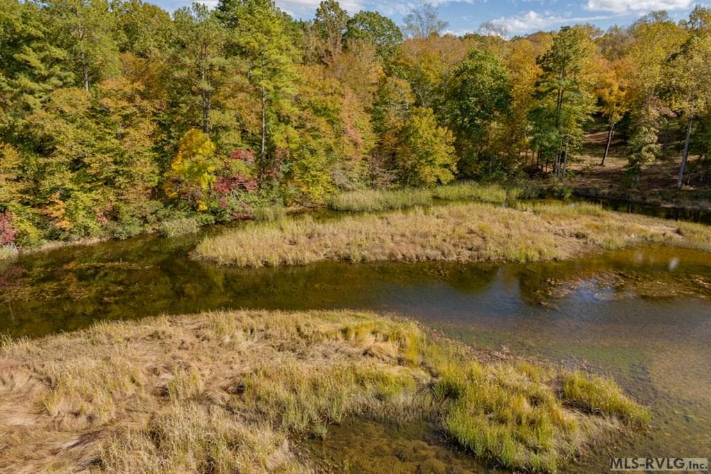 Residential Lot-Restricted,Unimproved Land at Lot 12 Canoe Creek, Gaston NC 27832, Gaston, photo 4 of 8
