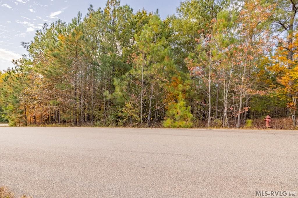 Residential Lot-Restricted,Unimproved Land at Lot 12 Canoe Creek, Gaston NC 27832, Gaston, photo 8 of 8