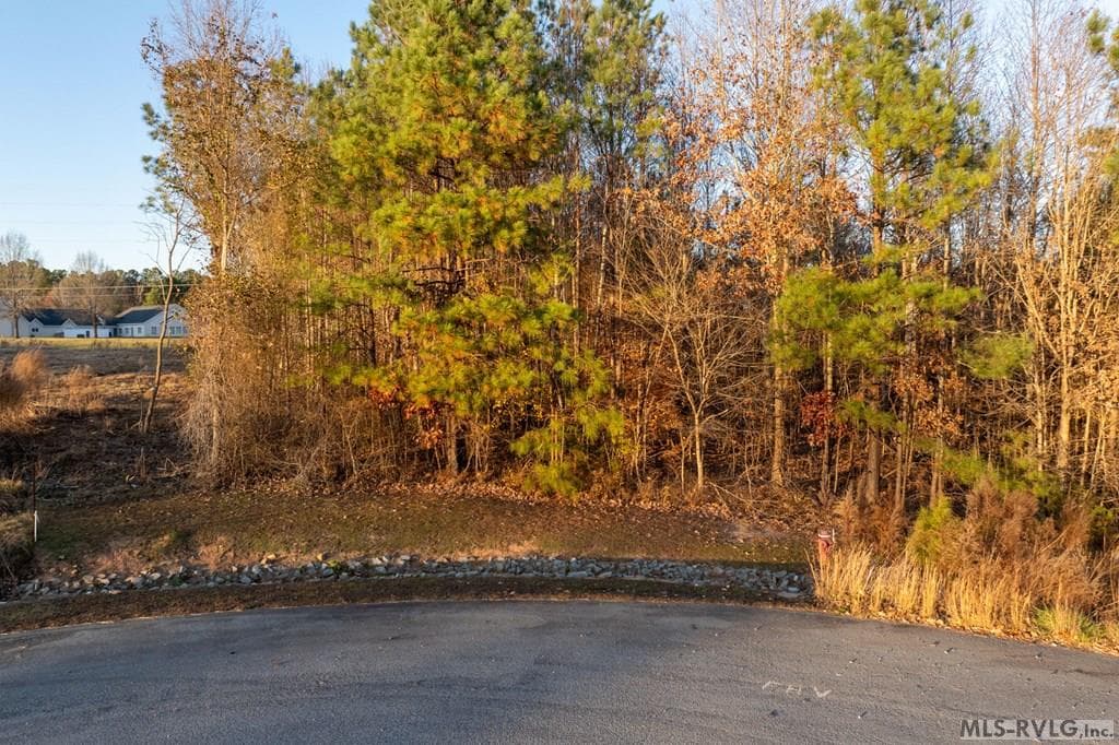 Lot 4 Wellington Way, Littleton NC 27850 photo 20