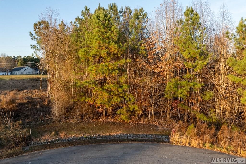 Lot 4 Wellington Way, Littleton NC 27850 photo 19