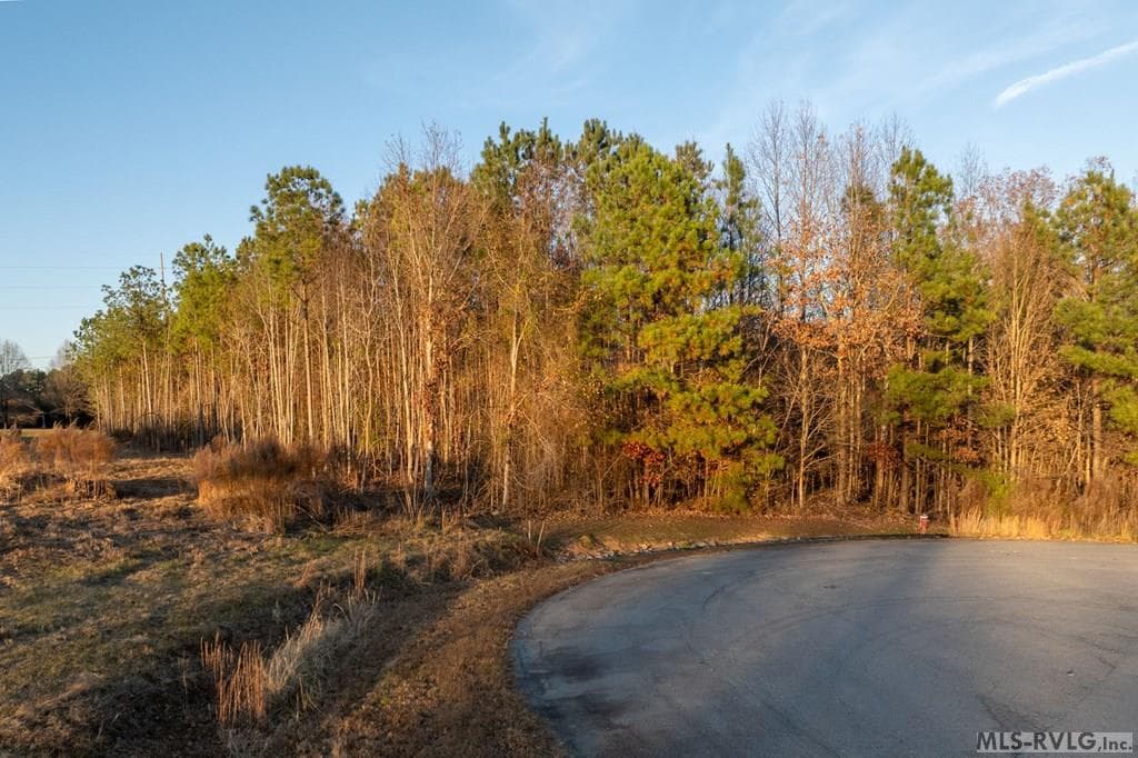 Lot 4 Wellington Way, Littleton NC 27850 photo 21
