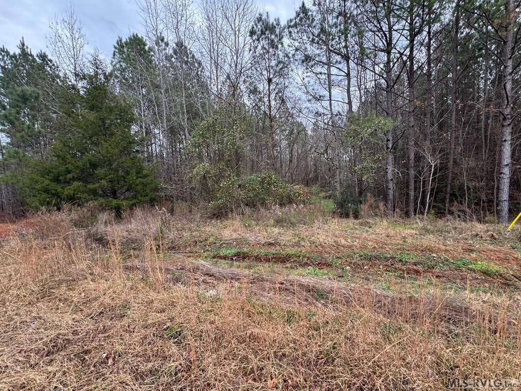 124 Maude Lane, Macon NC 27551 photo 3