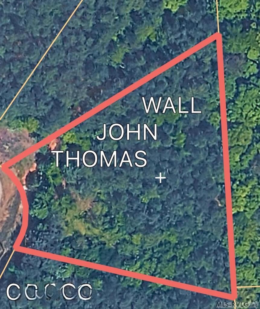 124 Maude Lane, Macon NC 27551 photo 5