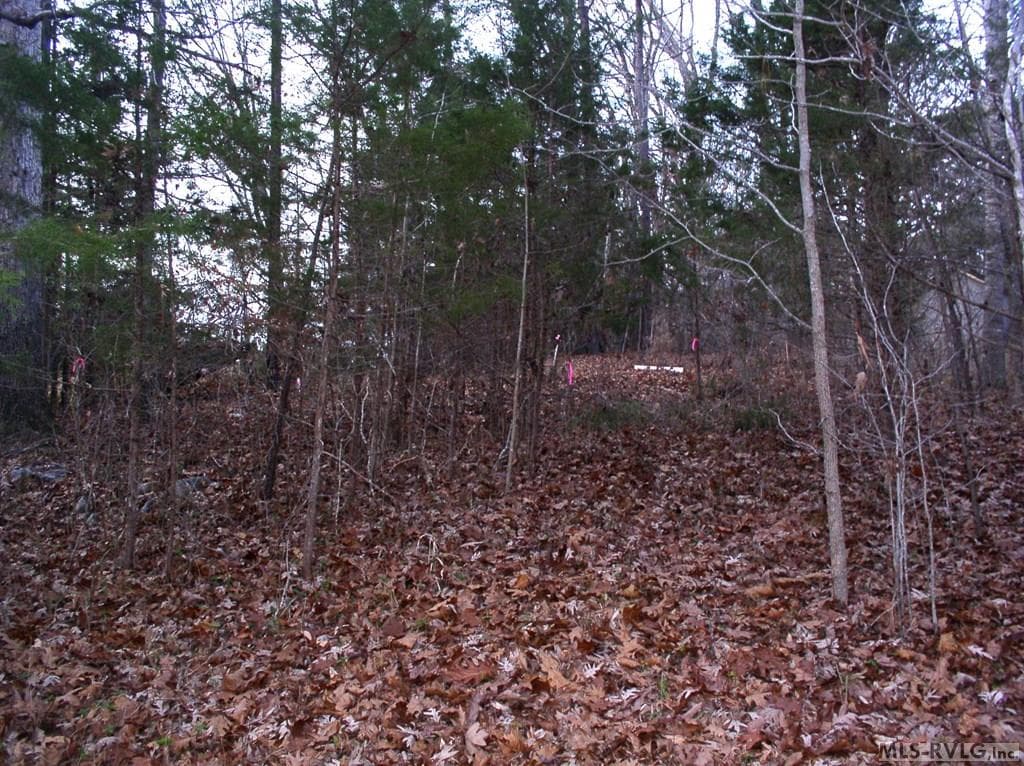 00 Matthews Drive, Henderson NC 27537 photo 16