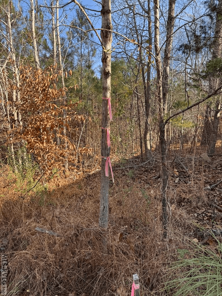 00 Matthews Drive, Henderson NC 27537 photo 7
